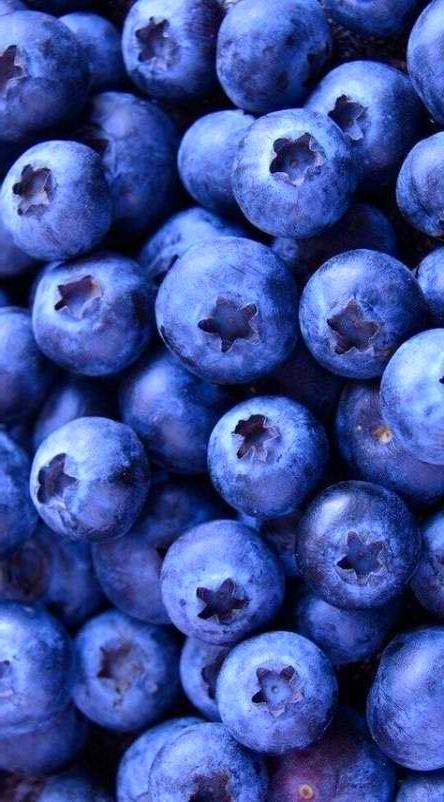 Bountiful Berry Bonanza: Farm's Finest Assortment