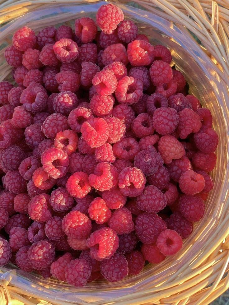 Garden's Pride Berry Ensemble: Pure Nature's Gift