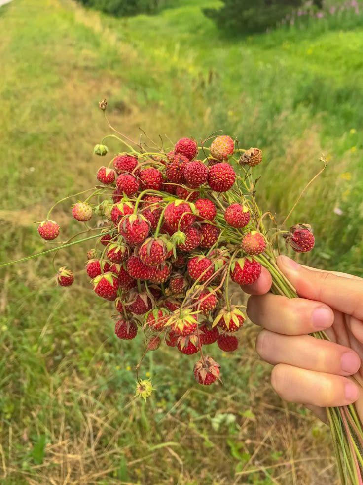 Rustic Berry Blend: Countryside's Seasonal Selection
